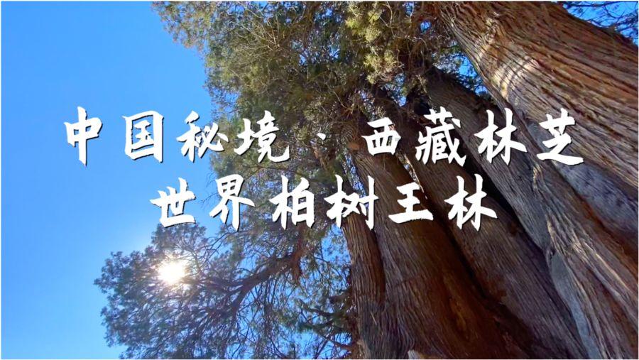 脸上的黑点是雀斑吗？游戏画面